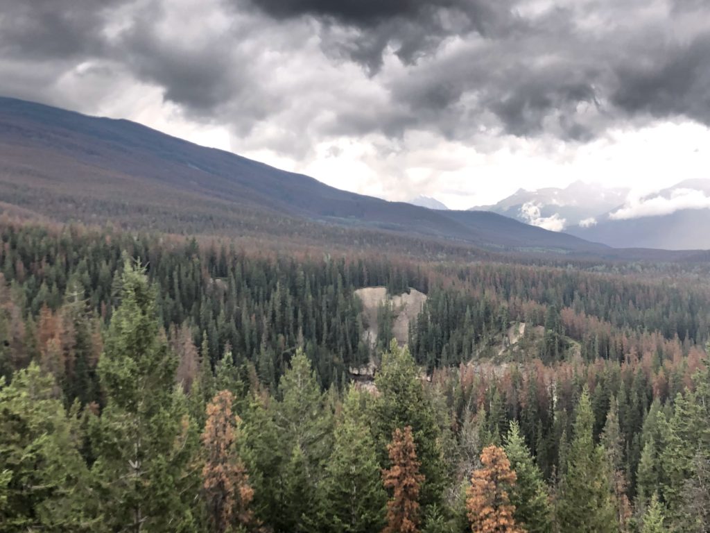 IcefieldParkwayandJasperNP_2019_11