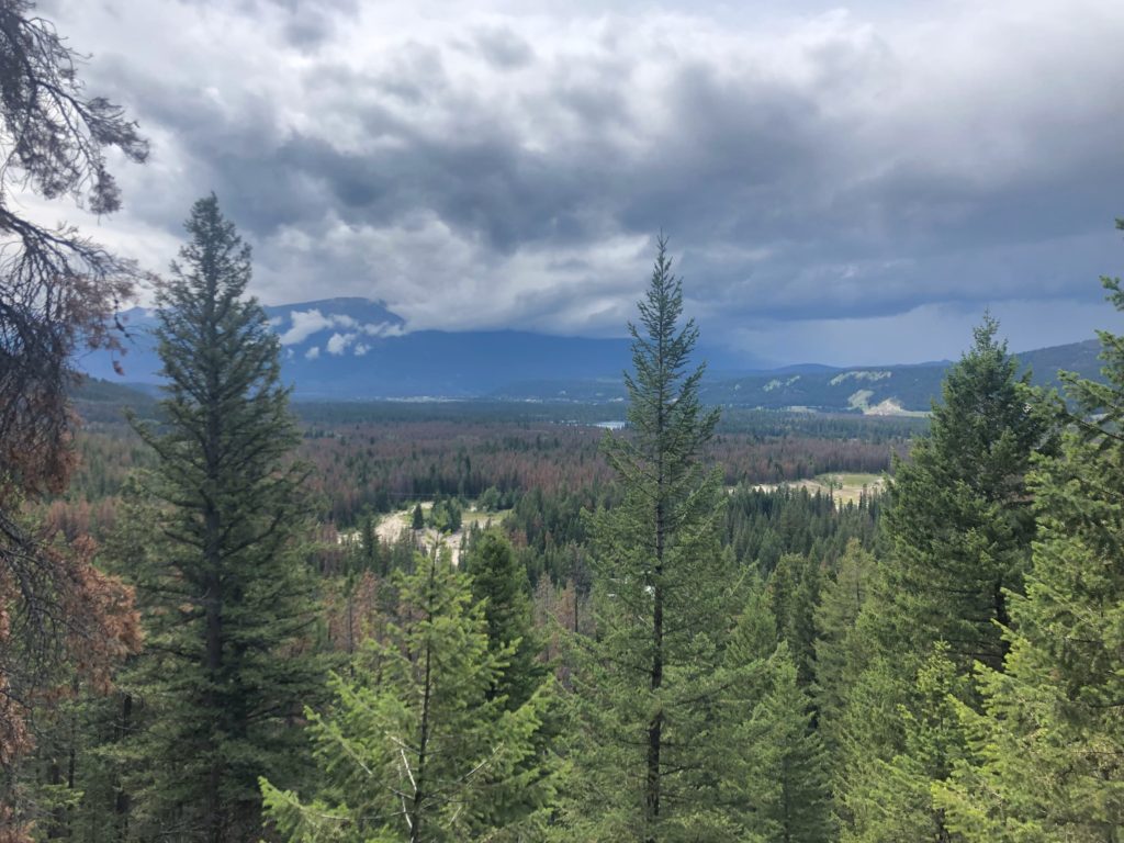 IcefieldParkwayandJasperNP_2019_13