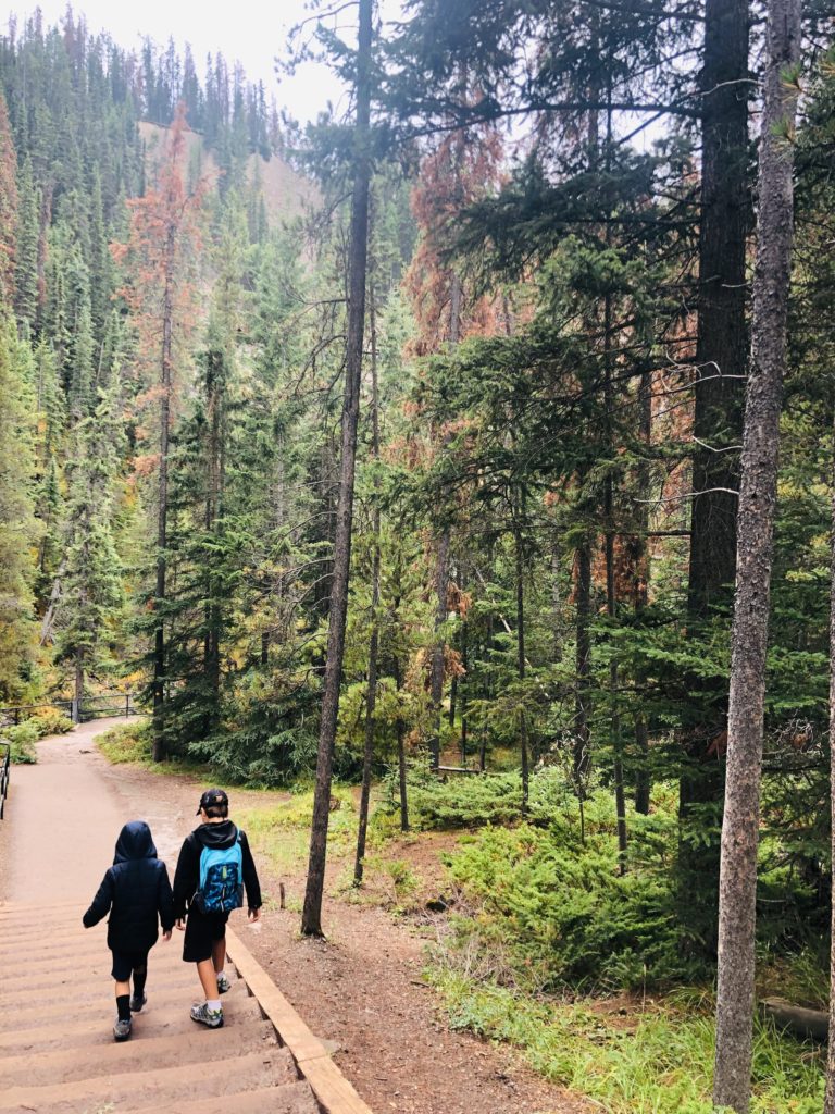 IcefieldParkwayandJasperNP_2019_19