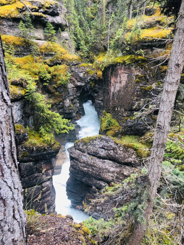 IcefieldParkwayandJasperNP_2019_23