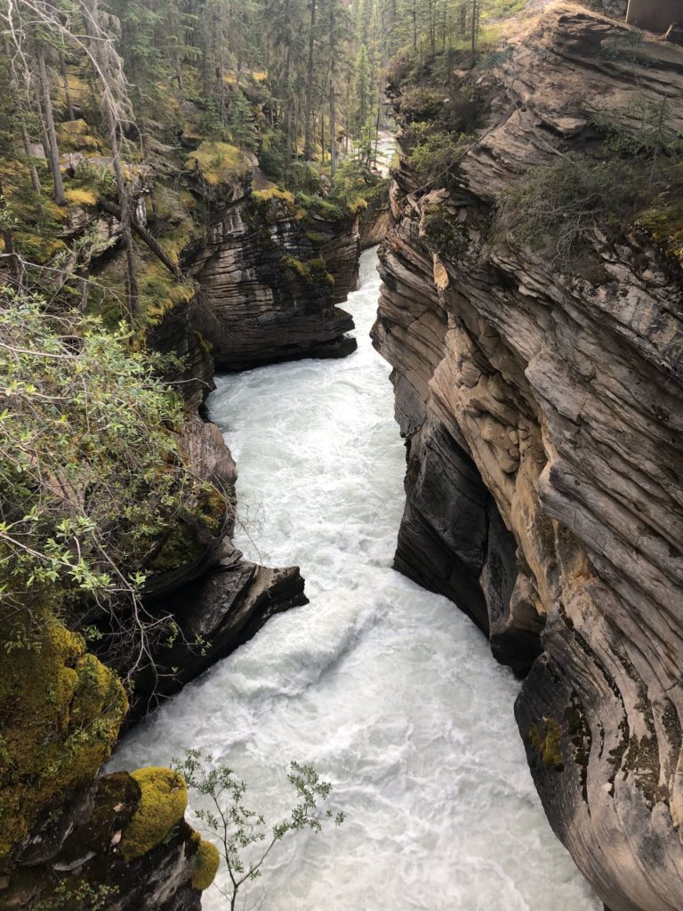 IcefieldParkwayandJasperNP_2019_29