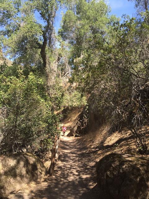 Bear Gulch Cave Hike